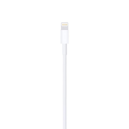 Lightning to USB Cable (1 m) 3